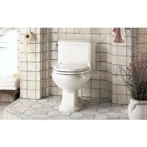 American Standard 2038.016 Antiquity One Piece Elongated Toilet Finish 