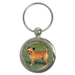  Chihuahua Key Chain (Round)