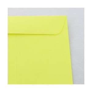   Brilliant Lemon Catalog 10x13 28lb Envelope 100/pkg