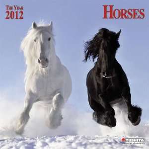  Horses 2012 Wall Calendar