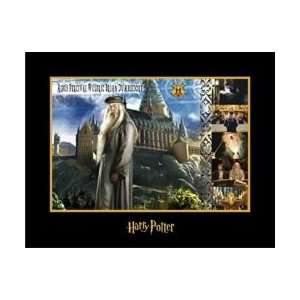   Wizards of Harry Potter Collection Albus Dumbledore 