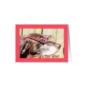  German Shorthaired Pointer   Thank you pet sitter card 