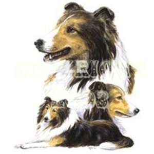  Shetland Sheepdog Night Light