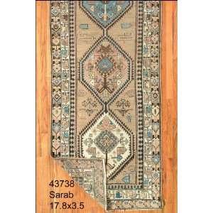  3x17 Hand Knotted Sarab Persian Rug   35x178