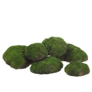  9.5Wx13L Assorted 3 & 4 Moss Buns (6 ea./bag) Green (Pack 