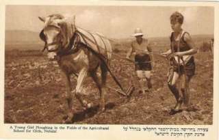 Judaica Palestine Old Postcard Young Girl Ploughing Nahalal With KKL 