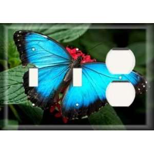  Two Switch/ One Duplex Receptacle Plate   Blue Butterfly 