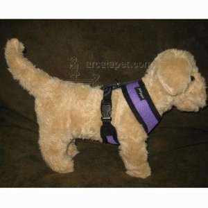  Comfort Control Dog Harness Purple XLarge