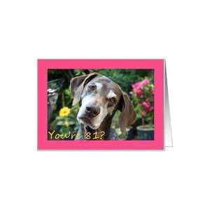  81st Birthday card, German Shorthaired Pointer Card Toys 