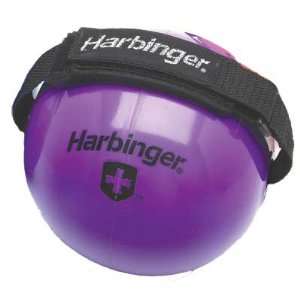  8 LB. Weighted Fitness Ball w/ Velcro