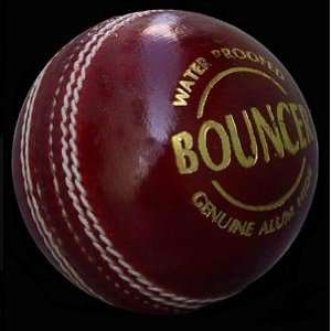  SG Bouncer Cricket Ball