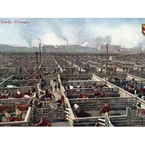  Postcard Depicting the Stock Yards and Abattoirs in 