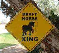 PAINT HORSE Xing SIGN   for Paint Horse Lovers  