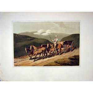  EAST RIDING WOLDS WAGGON YORKSHIRE HORSES 1885 WALKER 