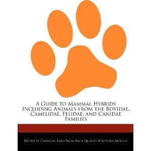   , Felidae, and Canidae Families (9781276239257) Charlene Sand Books