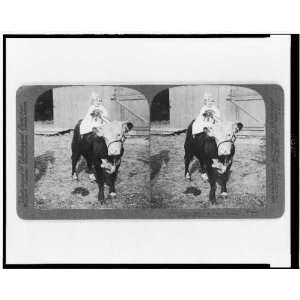  Photo The pets  on a western stock farm, Kansas