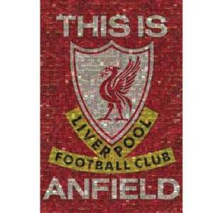 Liverpool FC. Mosaic Poster