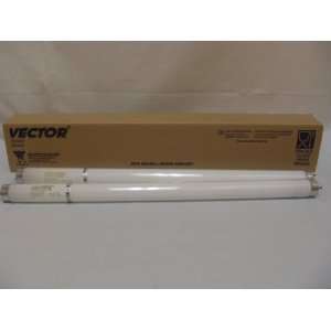  Vector Classic 20 7018 Shatter Resistant Bulbs   2 Bulbs 
