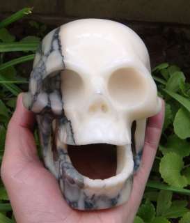3LB Crocodile Jasper Crystal Skull/Skeleton Over 5.2  