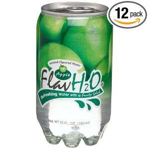 FlavH2O Sugarless Apple Drink (Pack of 12)  Grocery 
