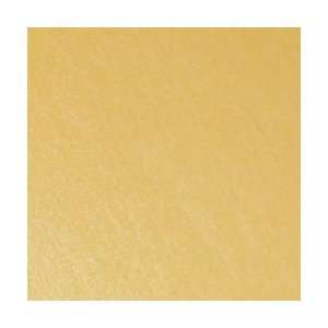  Stardream Cover Amber 12x18 105lb/285g 100/pkg Office 