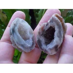  A6204 Gemqz Agate Hollow Geode Pair Crystalized 