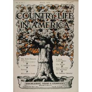  1902 Country Life in America COVER July E. McConnell 