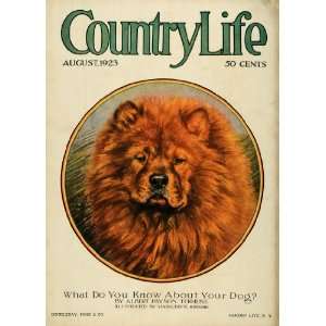  1923 Cover Country Life Chow Chow Small Dog Pet Portrait 