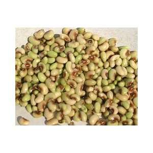  Green Eyed Pea Cowpea Seeds