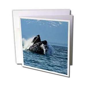  Krista Funk Creations Humpback Whales   Humpback Whale 