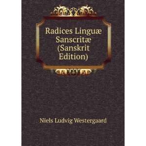   ¦ SanscritÃ¦ (Sanskrit Edition) Niels Ludvig Westergaard Books