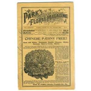   Floral Magazine August 1902 Libonia Pennsylvania 