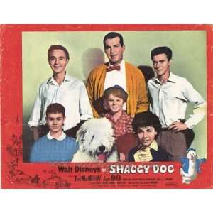  Shaggy Dog   Movie Poster   11 x 17