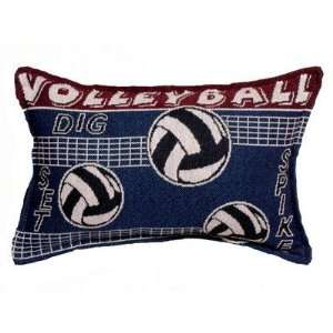  Volleyball Spike Tapestry Toss Pillow USA Made Set Two 