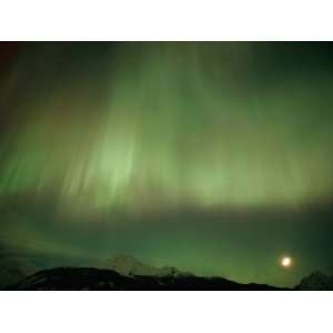  The Aurora Borealis Illuminates the Sky Premium 