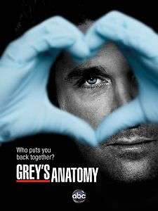 TV Poster   Greys Anatomy, abc, 12 x 8 (6)  