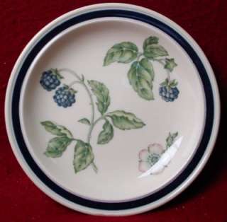 WEDGWOOD china BRAMBLE oven to table BREAD PLATE  