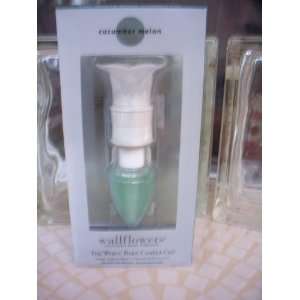   Cucumber Melon Wallflowers Home Fragrance Diffuser 1 Warmer and 1 Bulb
