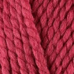  Lion Brand Wool Ease Thick & Quick Yarn (112) Raspberry By 