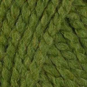  Lion Brand Wool Ease Thick & Quick Yarn (131) Grass By The 