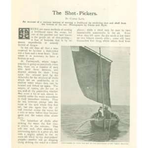    1908 Shot Pickers Off of Portsmouth England Shells 