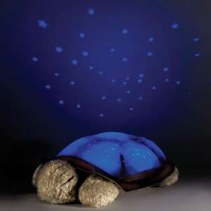  The Constellation Projecting Turtle Night Light.