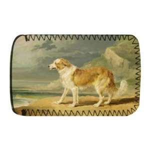  Rough coated Collie, 1809 (oil on board) by   Protective 