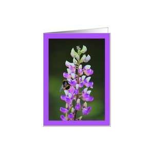 Lupine Flower and Bumblebee   blank inside Card