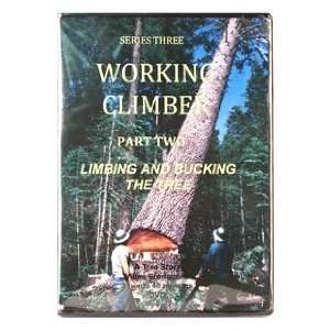   Climber Series III   Felling the Tree   Part II