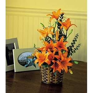  Asiatic Lilies   Same Day Delivery Available Patio, Lawn 