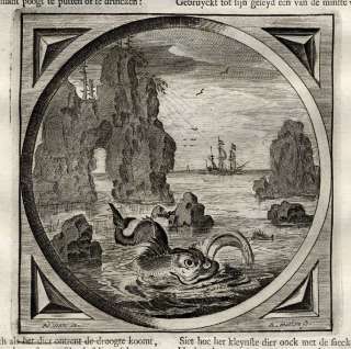 Antique Satire Print MARRIAGE WALE FISH Cats 1655  