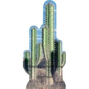  Cactus   Pair Life size Standup Standee 