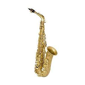   SAS1000 Alto Saxophone (Vintage Finish) Musical Instruments