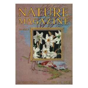  Nature Magazine   View of Flowers and Countryside Scene, c 